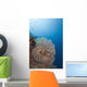 Micronesia, Palau, Chambered Nautilus Floating Among Coral Wall Mural