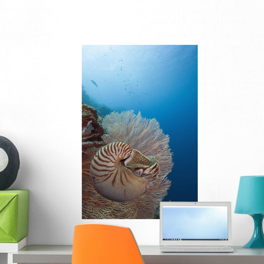 Micronesia, Palau, Chambered Nautilus Floating Among Coral Wall Mural