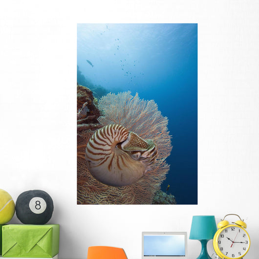 Micronesia, Palau, Chambered Nautilus Floating Among Coral Wall Mural