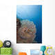 Micronesia, Palau, Chambered Nautilus Floating Among Coral Wall Mural