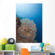 Micronesia, Palau, Chambered Nautilus Floating Among Coral Wall Mural