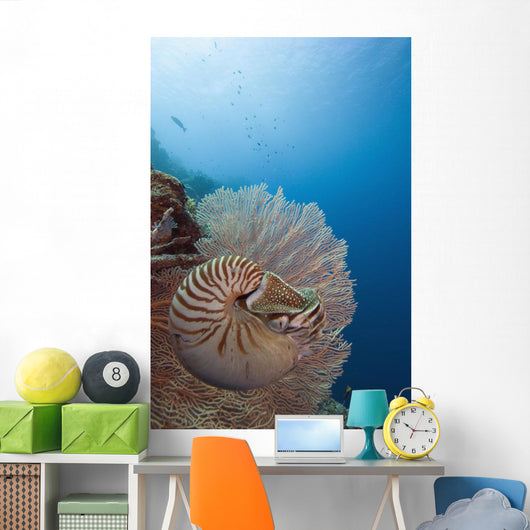 Micronesia, Palau, Chambered Nautilus Floating Among Coral Wall Mural
