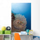 Micronesia, Palau, Chambered Nautilus Floating Among Coral Wall Mural