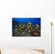 Hawaii, School Of Racoon Butterflyfish Along Reef Wall Mural