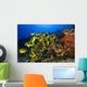 Hawaii, School Of Racoon Butterflyfish Along Reef Wall Mural