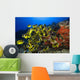 Hawaii, School Of Racoon Butterflyfish Along Reef Wall Mural