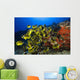 Hawaii, School Of Racoon Butterflyfish Along Reef Wall Mural