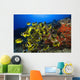Hawaii, School Of Racoon Butterflyfish Along Reef Wall Mural