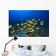 Hawaii, School Of Racoon Butterflyfish Along Reef Wall Mural