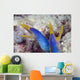 Indonesia, Blue Ribbon Eel Pair Head Peeks From Coral Wall Mural