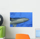 Hawaii, Grey Reef Shark Viewed From Below Wall Mural