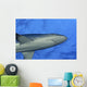 Hawaii, Grey Reef Shark Viewed From Below Wall Mural