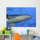 Hawaii, Grey Reef Shark Viewed From Below Wall Mural