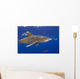 Hawaii, Big Island, Oceanic Whitetip Shark With Pilot Fish Wall Mural