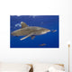 Hawaii, Big Island, Oceanic Whitetip Shark With Pilot Fish Wall Mural