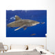Hawaii, Big Island, Oceanic Whitetip Shark With Pilot Fish Wall Mural