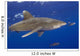 Hawaii, Big Island, Oceanic Whitetip Shark With Pilot Fish Wall Mural