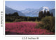 Field Of Fireweed Wall Mural