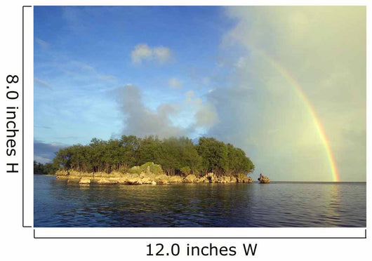 Rainbow Overhead Wall Mural