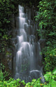 Cascading Waterfall In Lush Tropical Rainforest Wall Mural