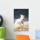 White Horse Running On The Beach Wall Mural