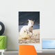 White Horse Running On The Beach Wall Mural