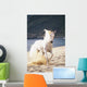 White Horse Running On The Beach Wall Mural
