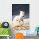 White Horse Running On The Beach Wall Mural