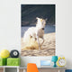White Horse Running On The Beach Wall Mural