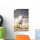 White Horse Galloping Toward Camera On Beach Wall Mural