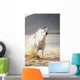 White Horse Galloping Toward Camera On Beach Wall Mural