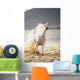 White Horse Galloping Toward Camera On Beach Wall Mural
