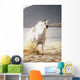 White Horse Galloping Toward Camera On Beach Wall Mural