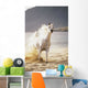 White Horse Galloping Toward Camera On Beach Wall Mural