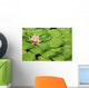 Water Lily And Lily Pads Wall Mural