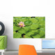 Water Lily And Lily Pads Wall Mural