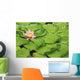 Water Lily And Lily Pads Wall Mural
