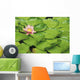 Water Lily And Lily Pads Wall Mural