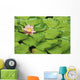 Water Lily And Lily Pads Wall Mural