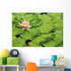 Water Lily And Lily Pads Wall Mural