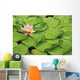 Water Lily And Lily Pads Wall Mural