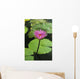 Water Lily, Single Purple Blossom Wall Mural