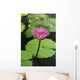 Water Lily, Single Purple Blossom Wall Mural