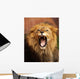 Grrr... Wall Mural
