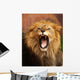 Grrr... Wall Mural