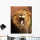 Grrr... Wall Mural