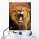 Grrr... Wall Mural