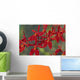 Hawaii, Orange Orchid Cluster Queen Emma Wall Mural