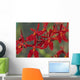 Hawaii, Orange Orchid Cluster Queen Emma Wall Mural
