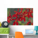 Hawaii, Orange Orchid Cluster Queen Emma Wall Mural